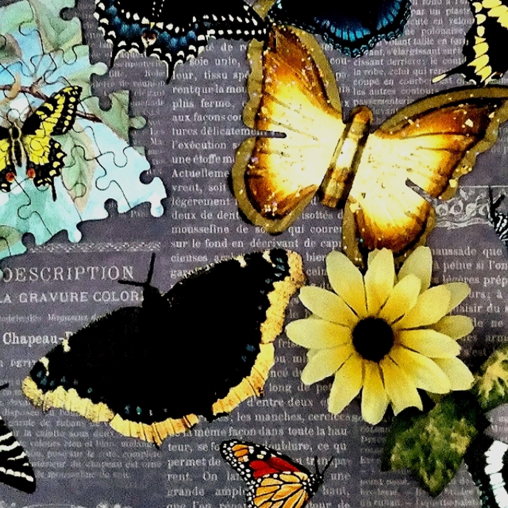 Assemblage collage